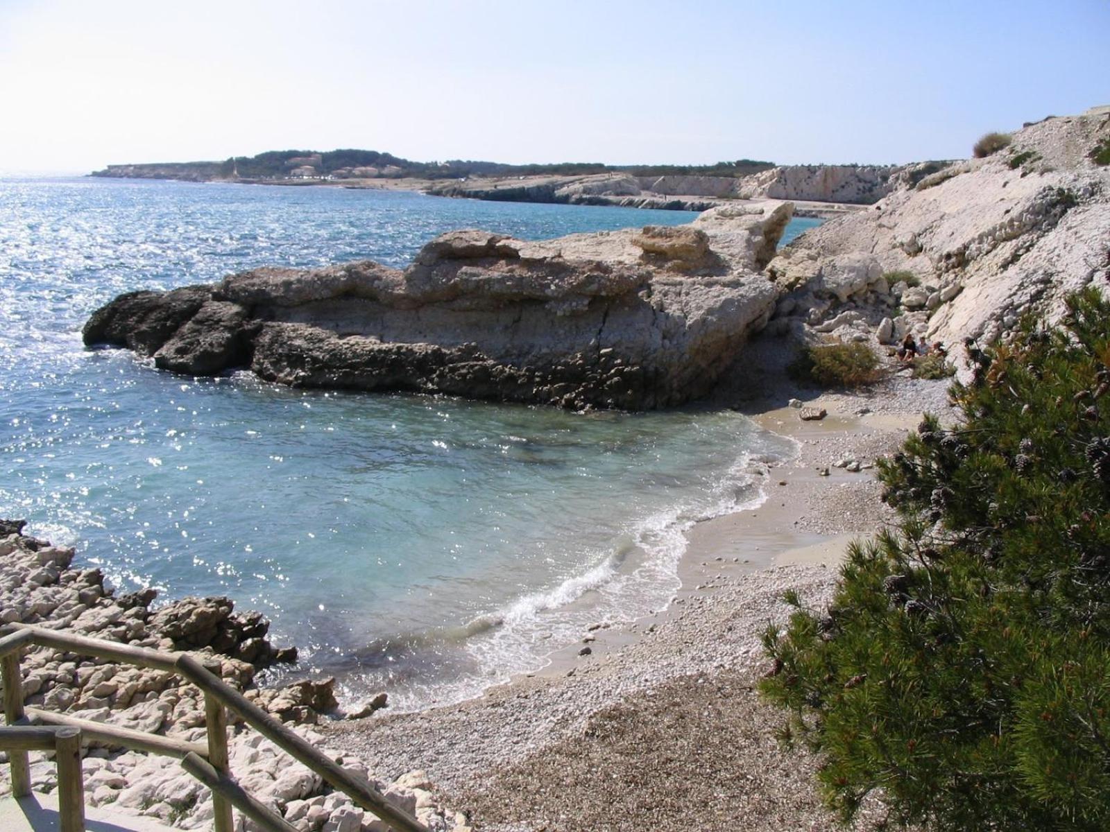 *Tiny Jungle* / Plage, Port Et Commerces A Pied Sausset-les-Pins Extérieur photo